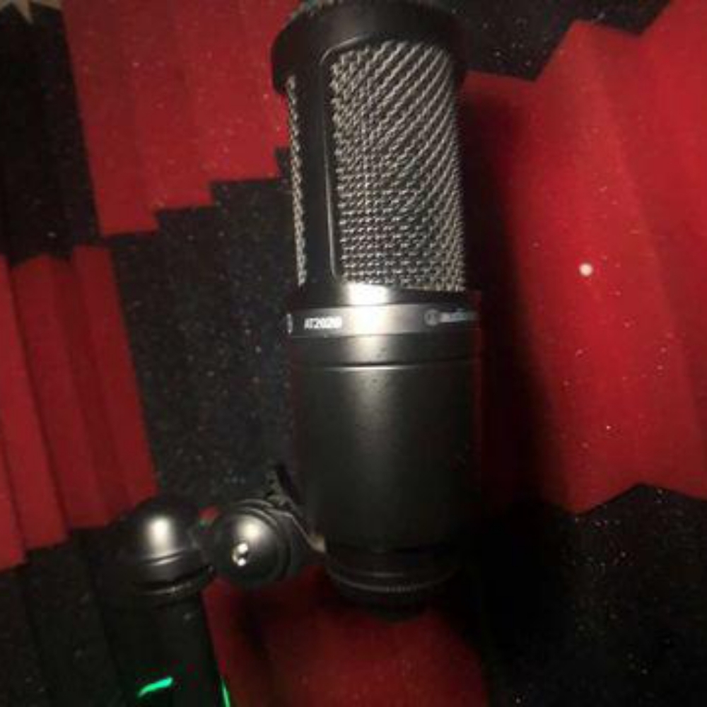Microphone - Picture 2 of 3